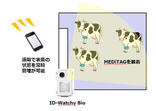 凸版印刷・ホシデン・日本全薬工業 IoTで家畜のストレス管理の実証実験