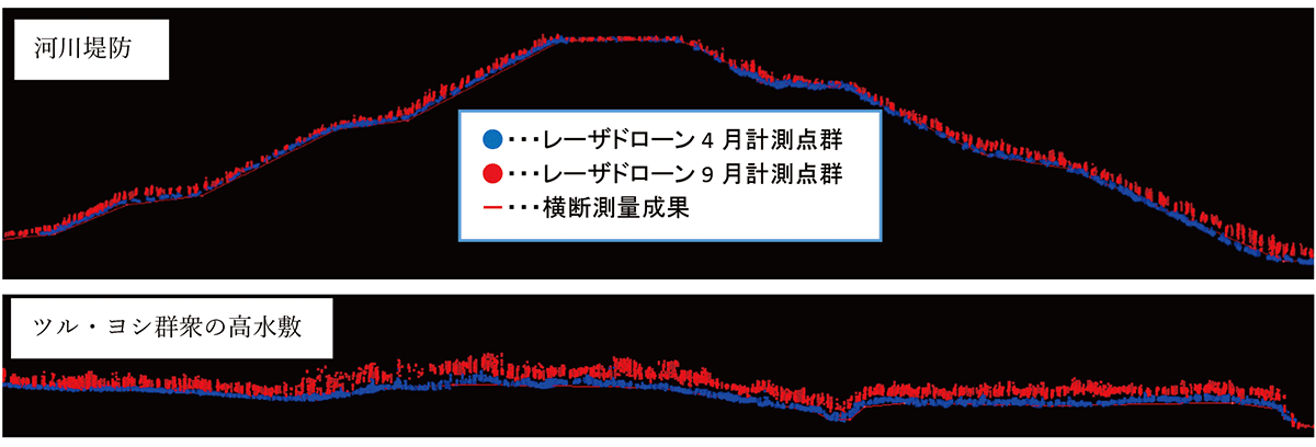 図3　河川堤防（人口草地），ツル・ヨシ群集における点群の断面表示