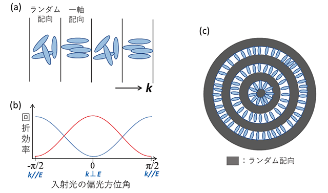 図６　(a)配向秩序の周期的変調と(b)偏光方向と回折効率の関係および(c)kベクトルを放射状に配置したリング型回折格子