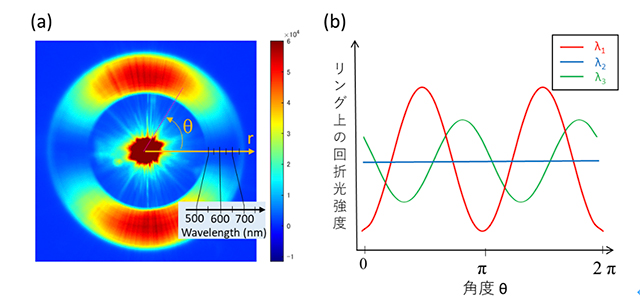 図８　(a)白色光によるリング状回折光(p偏光入射時)と(b)波長毎に検出される偏光状態のイメージ
