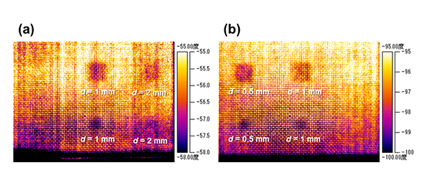 図５　図３の熱画像を位相画像変換した結果, (a) 周波数0.04 Hz, (b) 周波数0.12 Hz