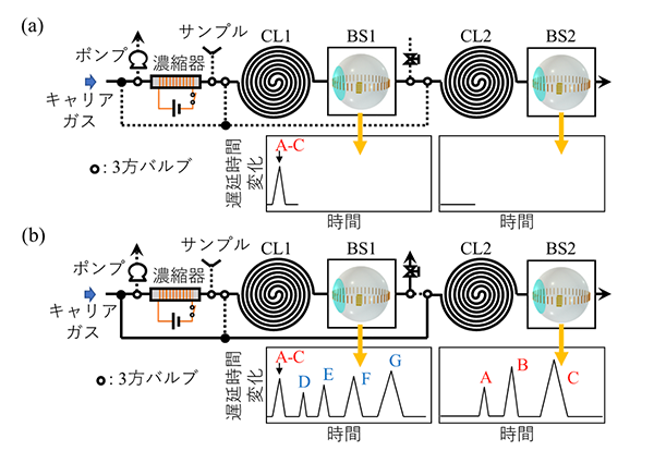 図２　ガス直進法　(a)直列接続　(b)並列接続