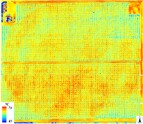 図９　UAVに搭載された熱赤外カメラにより作成した地表面温度マップ