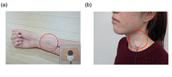 図4 P(VDF-TrFE)を用いたフレキシブルな印刷型圧力センサ。作製したセンサをヒトに添付したときの外観図。本センサはそれぞれ (a) 手首、(b) 首、に添付した。 (c) 手首（橈骨動脈付近）で得られた脈拍信号。(d) 首（外頸静脈付近）で得られた脈拍信号。