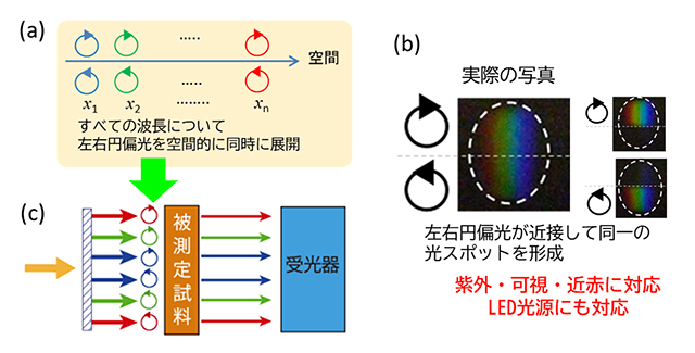 図１０　(a)空間的に展開された分光円偏光と(b)逐次分光測定への応用および(c)試作した偏光素子よる分光円偏光の発生