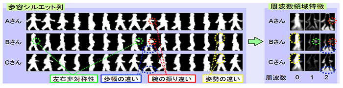 図１ 歩き方の個性(左)と歩容特徴(右)