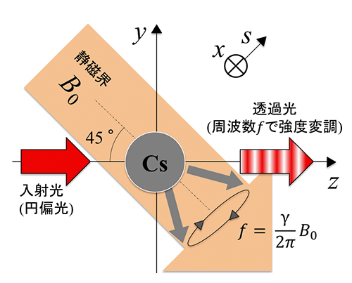 図１　光ポンピング磁気センサ（Mxタイプ）の原理