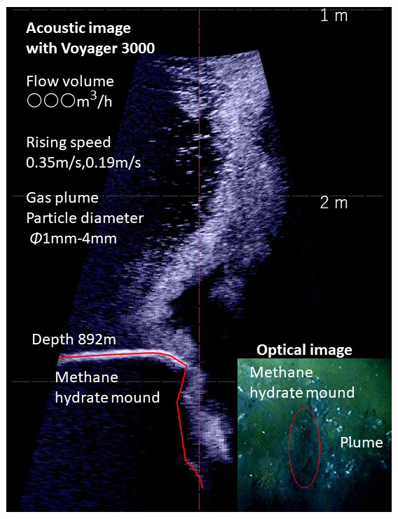 図３　Voyager3000による計測結果 水深892mのメタンハイドレートマウンドから噴出するプルーム、と光学写真との比較