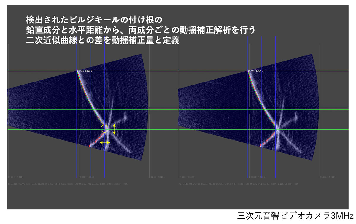 図９カメラ深度3ｍスキャン音響計測画像、動揺補正解析（三次元画像）