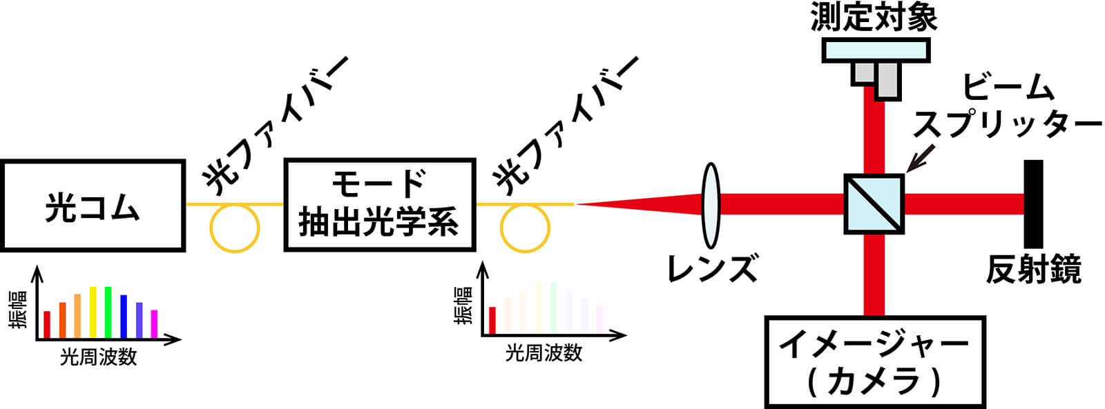 図3　光コム・デジタルホログラフィーの実験装置．