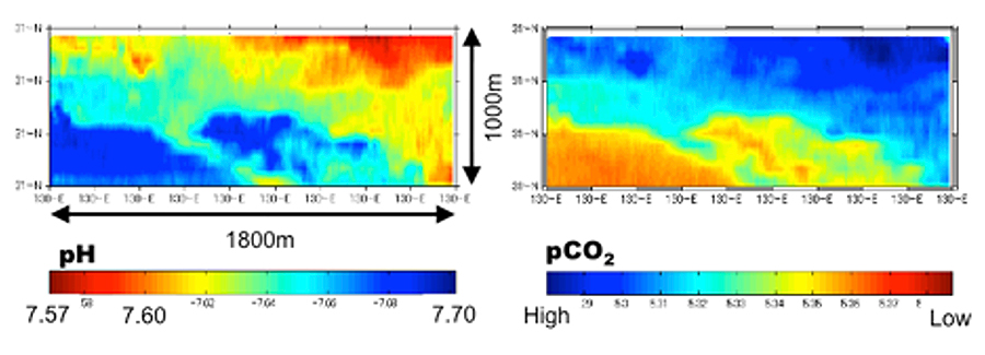 図5　AUVによる鹿児島湾の熱水噴出地帯の水深100m層でのpHとpCO2の広範囲マッピング計測結果