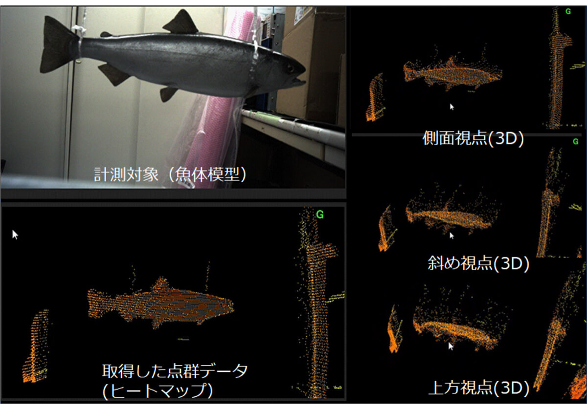 図4　測定対象物（魚の模型）を側面から計測し，視点を変えて3D表示した結果