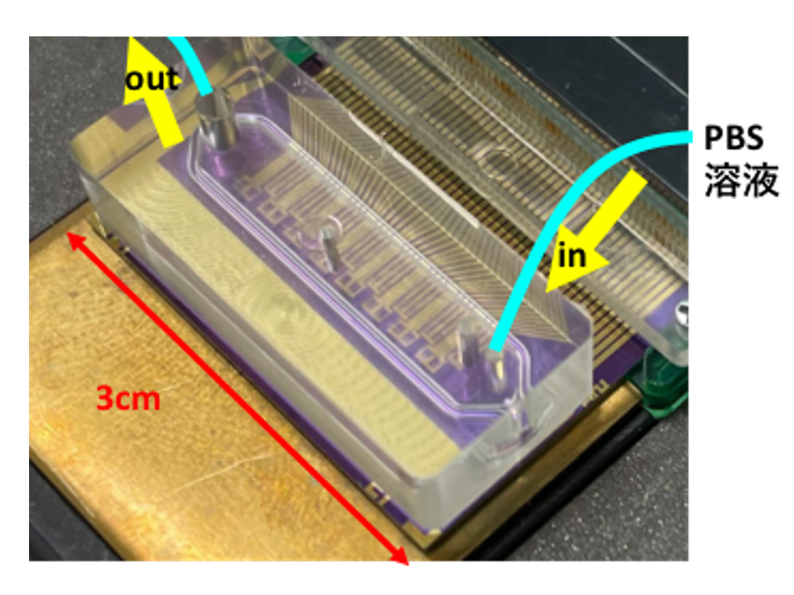 図5. グラフェンFETアレイ上に設置したマイクロ流路(μ-TAS)。右側からPBSを導入し、グラフェンFETアレイ上を通過して、左側から排出する。