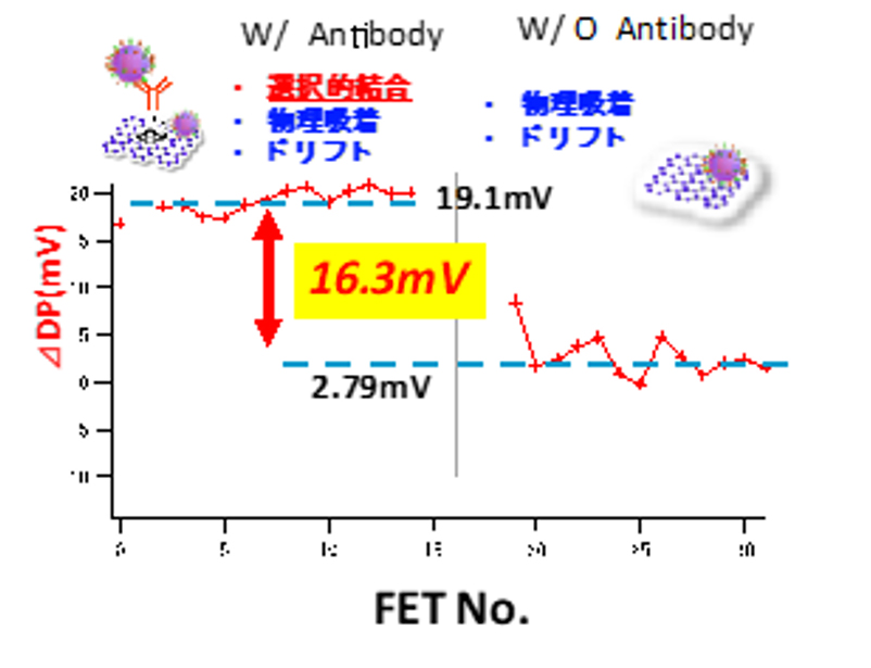 図8. 新型コロナウイルス導入による抗体修飾したFETとしないFETのデイラックポイントの変化。