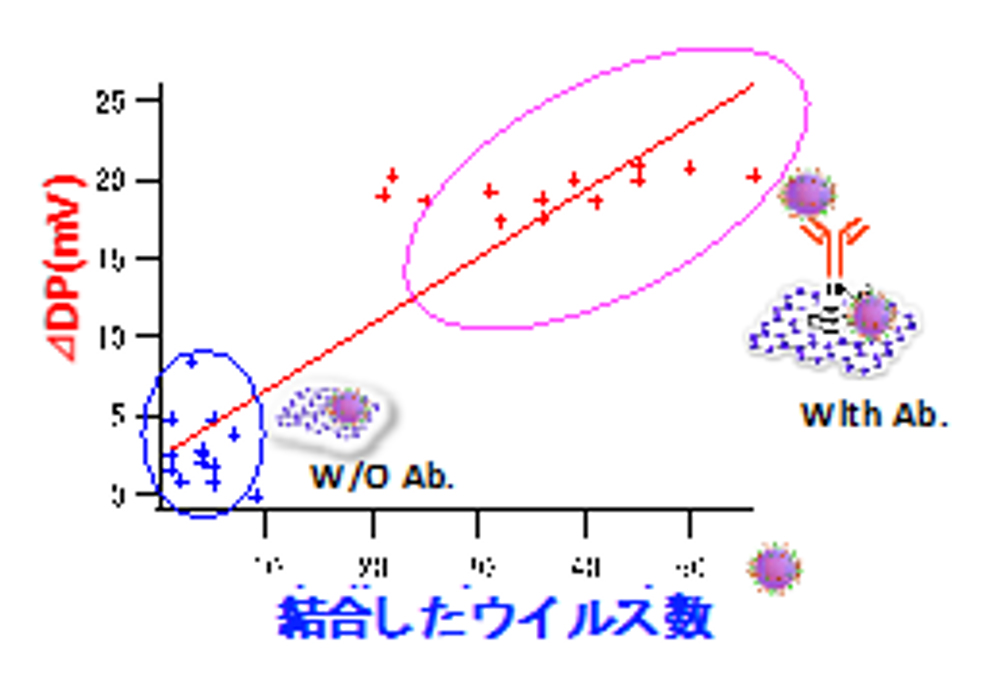図10. 新型コロナウイルス導入による抗体修飾したFETとしないFETの結合ウイルス数とディラックポイントの変化分の関係