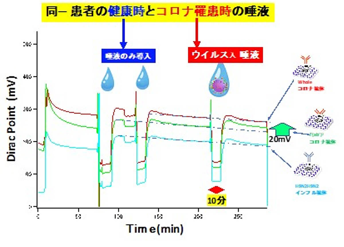 図11. 新型コロナウイルス感染患者の健康時と罹患時の唾液導入によるディラックポイントの変化。